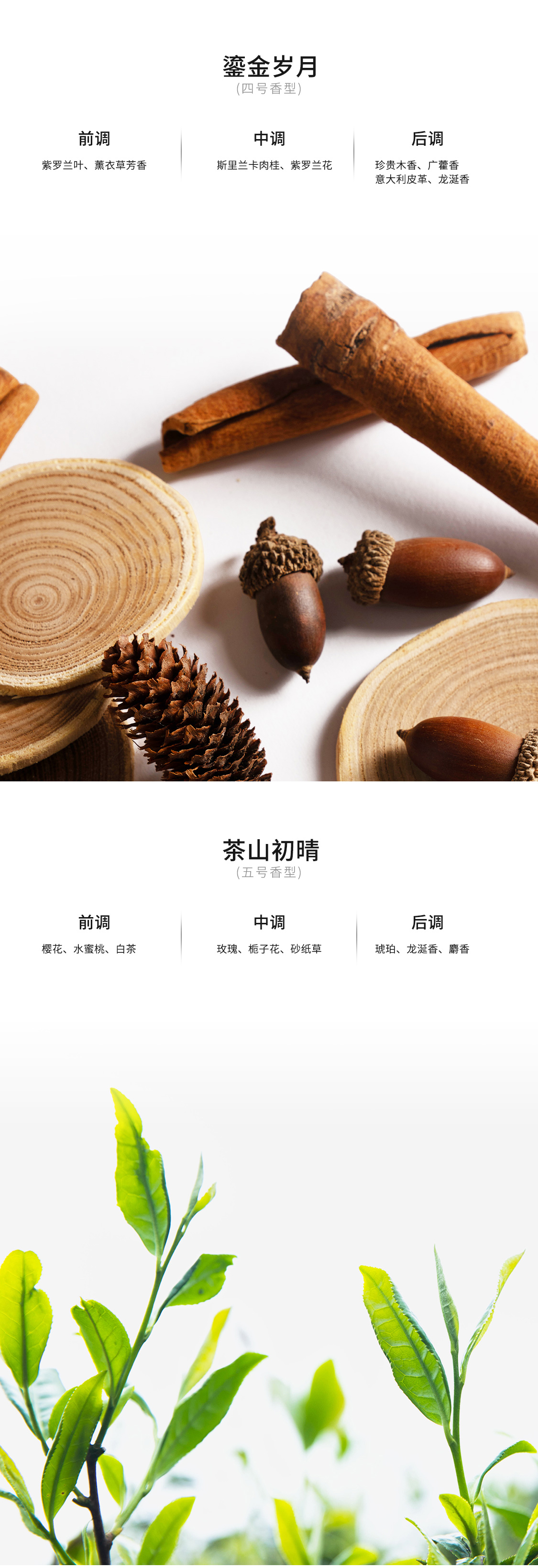 风云T11 香氛瓶 详情图 5